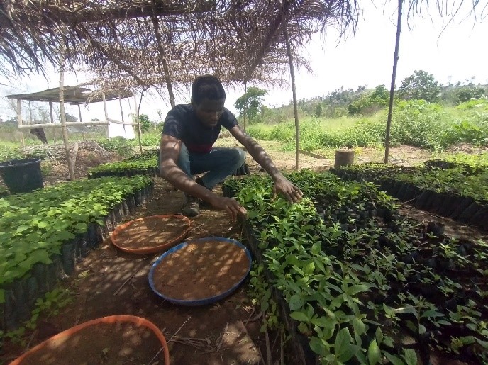 Organic Farming